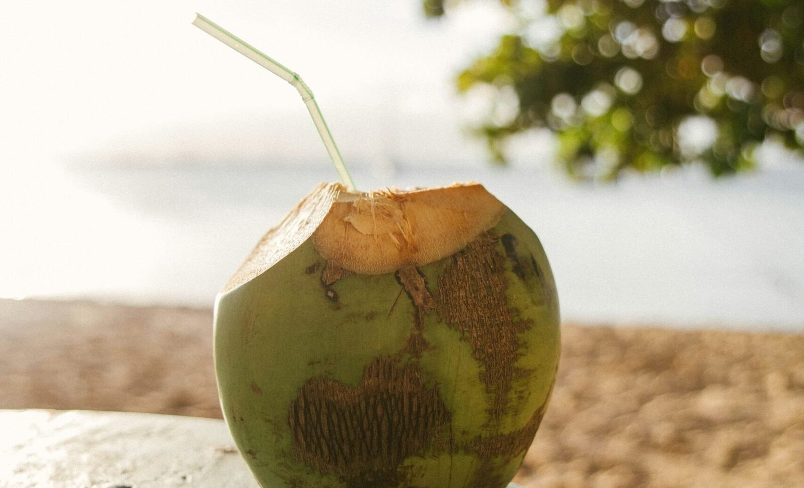 Shields-Era Travel - coconut