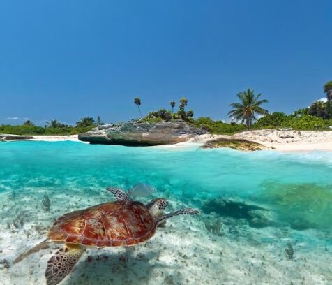 Princess - Western Caribbean
